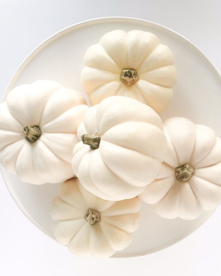 Ifa Principles of Wealth